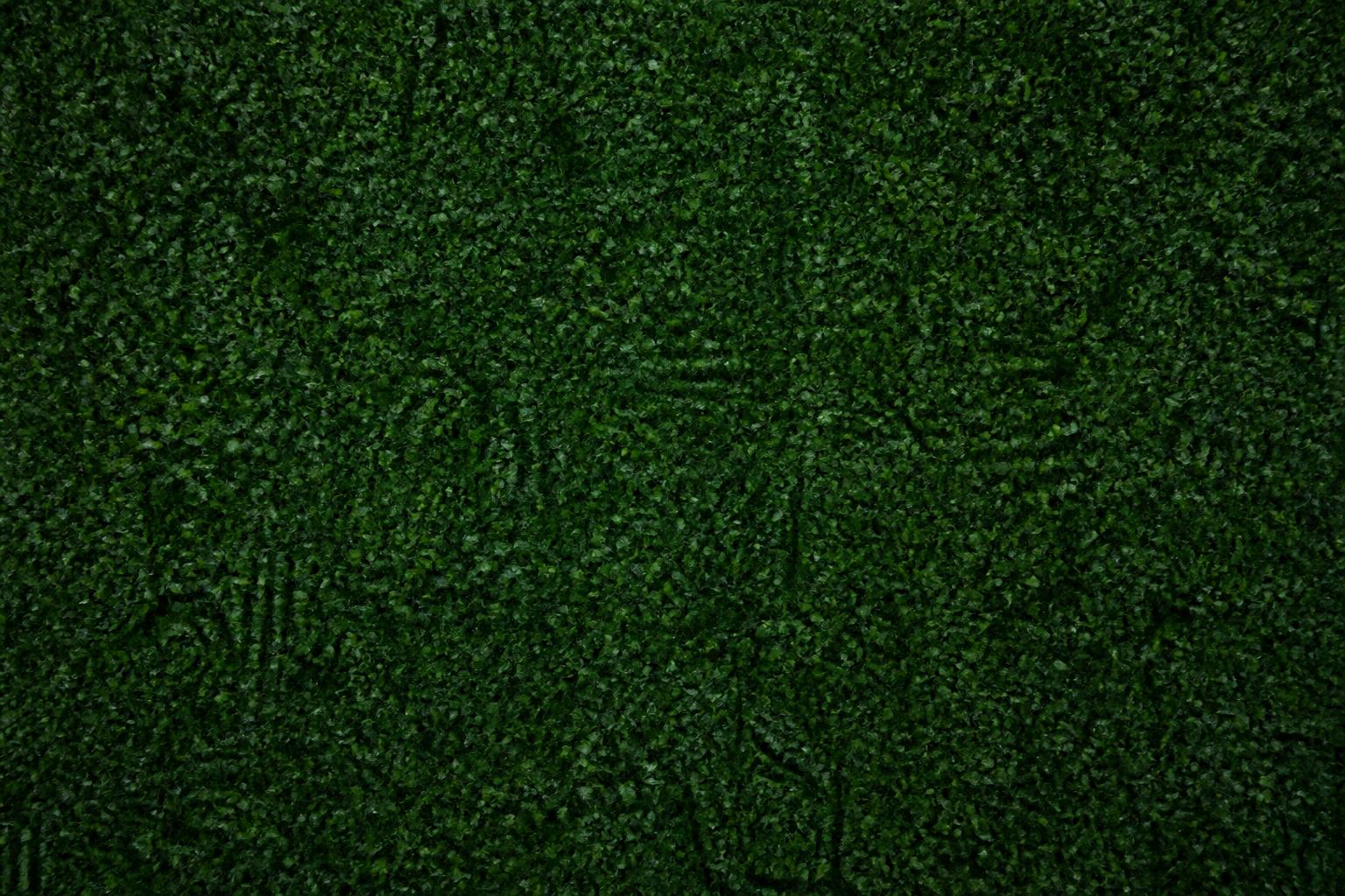 Green Wall